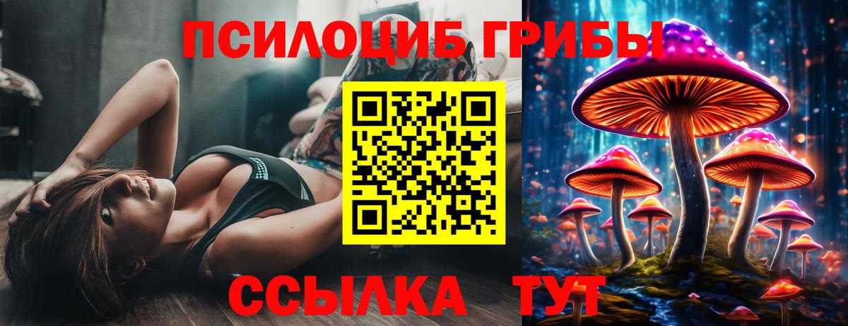 Галлюциногенные грибы ЛСД Новочебоксарск