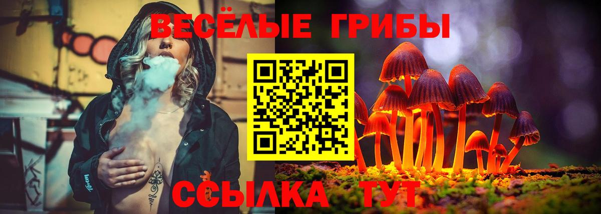 Новочебоксарск  Галлюциногенные грибы прущие грибы  Вход с VPN 